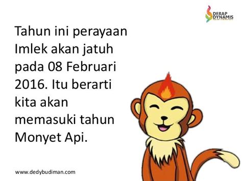 apa itu tahun monyet